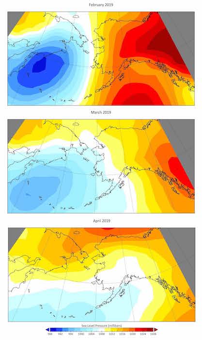 Figure 2. Monthly mean surface sea level pressure across the Bering Sea in February, March, and April 2019. Figure source: NCEP/NCAR Reanalysis.