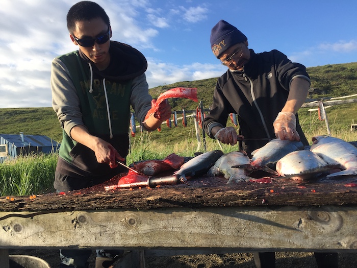 Photo 8. Father and son, Okleasik Jr.(right) and Isaac Okleasik III Isaac (left), cutting fish. Photo courtesy of Jolene Okleasik.