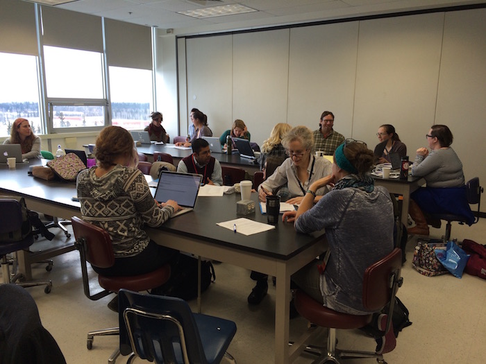 Workshop participants formed groups based on criteria such as science/education goals, geography, and other professional interests. Photo courtesy of Judy Fahnestock, ARCUS.