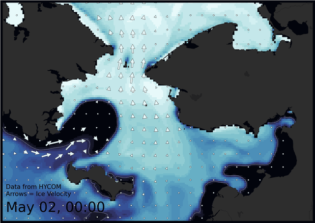 Visit the SIWO Facebook page @seaiceforwalrus to view this animation showing the predicted movement of ice predicted by the HYbrid Coordinate Ocean Model (HYCOM).