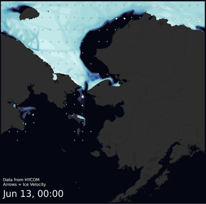 Visit the SIWO Facebook page @seaiceforwalrus to view this animation showing the predicted movement of ice predicted by the HYbrid Coordinate Ocean Model (HYCOM).