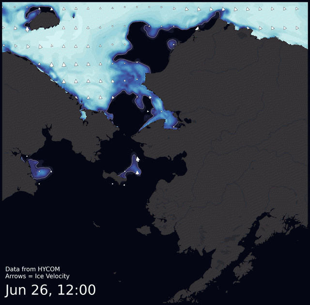 This animation shows the predicted movement of ice predicted by the HYbrid Coordinate Ocean Model (HYCOM). Snapshots from the forecast show ice coverage from 0% (black) to 100% (white) and arrows show the relative speed and direction of the ice. A light boundary is drawn at 15% predicted ice cover to highlight the ice edge, but ice may be predicted to extend beyond it. Some bays, lagoons, and areas very close to shore are not covered by the model. (Image produced by the Alaska Ocean Observing System / Axiom