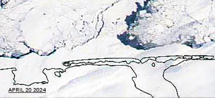 Satellite image of Shishmaref area open leads from 20 April 2024 contributed by Curtis Nayokpuk.