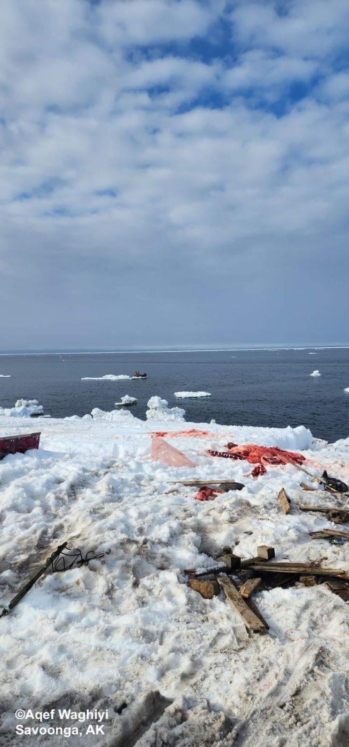 Weather and sea-ice conditions in Savoonga. Photo courtesy of Aqef Waghiyi.