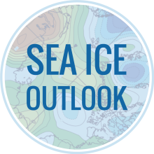 Call for Contributions: 2024 August 2024 Sea Ice Outlook