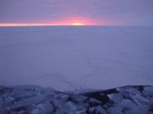 Sea Ice Prediction Network (SIPN) Webinar