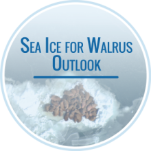 Sea Ice for Walrus Outlook